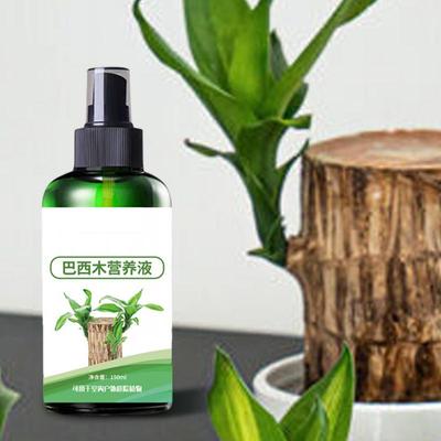 Engrais pour bois brésilien 150 ml Solution nutritive hydroponique pour bois brésilien Solution nutritive pour floraison de bois brésilien