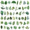 50Pcs Transparent Green Plants Stickers for DIY Waterproof Scrapbook Stationery Travel Luggage Water Bottle Phone Laptop