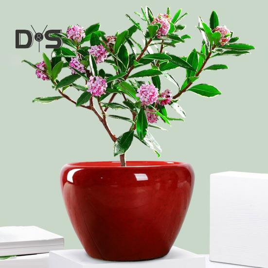 Ceramic Flowerpot Large Circular Opening Planter Pot Colored Glaze Finish Flower Pot with Drainage Hole for Indoor Outdoor Use