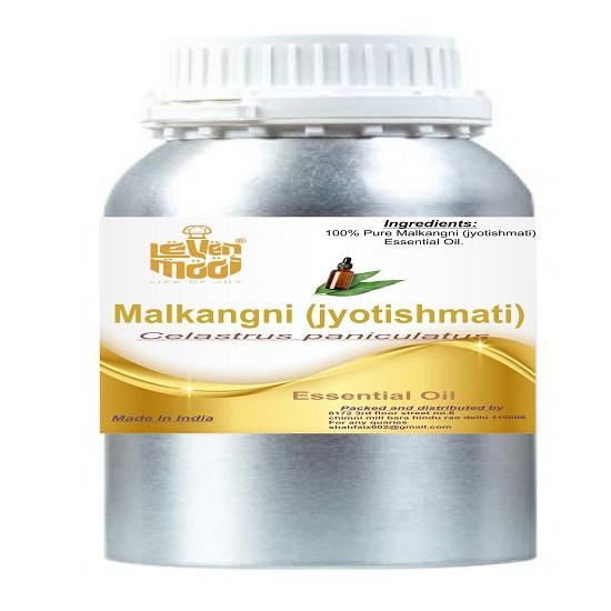 Levenmooi Malkangni (Jyotishmati) (Celastrus Paniculatus Willd.)Essential Oil