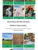 Chicken Walking Tunnel: Ground Cage Extension for Pet Chickens