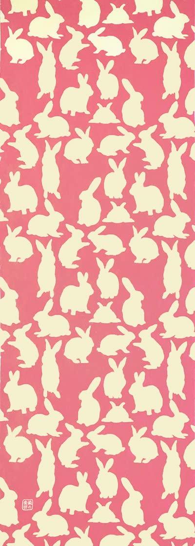 

Dyeing Anbo Tenugui Authentic Dyed Cotton Tokuoka Made in Japan 35cm x 100cm Usausa Salmon 100%