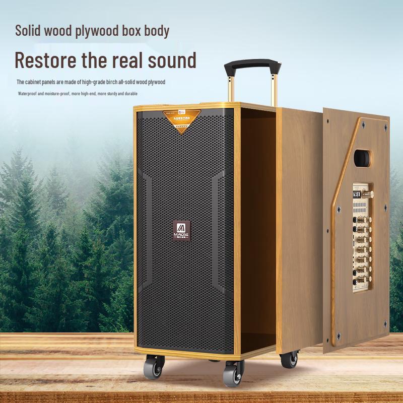 MALONE M-8810 High-Power Portable Karaoke Trolley Speaker CN Plug (adapter Included) (CN Version)