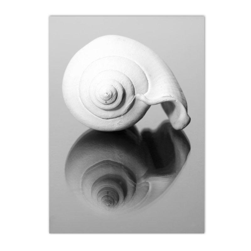 Black And White Posters Bridge Boat Palm Tree Canvas Print Pictures Conch Wall Art Sea Wave Poster Nordic Picture Bedroom Decor