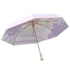 Nanqiao Automatic Illustration Rain/Sun Umbrella