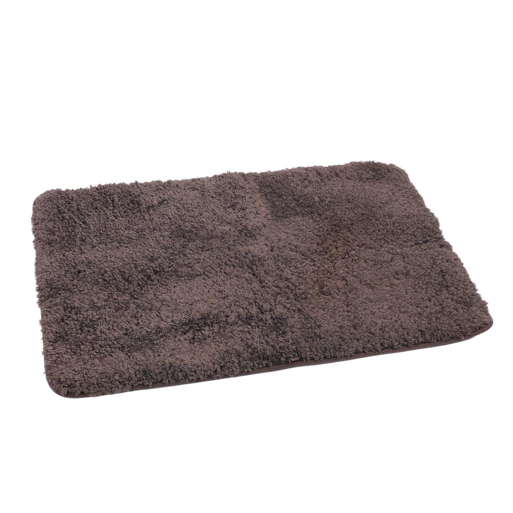 Door Mat Water Absorbent Non Slip Bathroom Mat Thicken Polyester   Entrance Mat Stylish Door Rug for Home