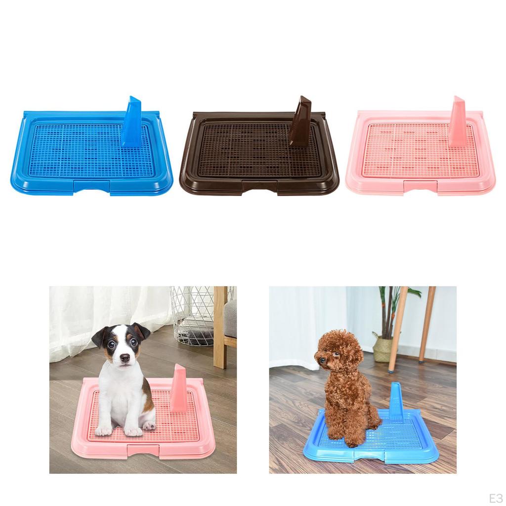 Tray for Dogs - Easy Clean and Non-Slip Design