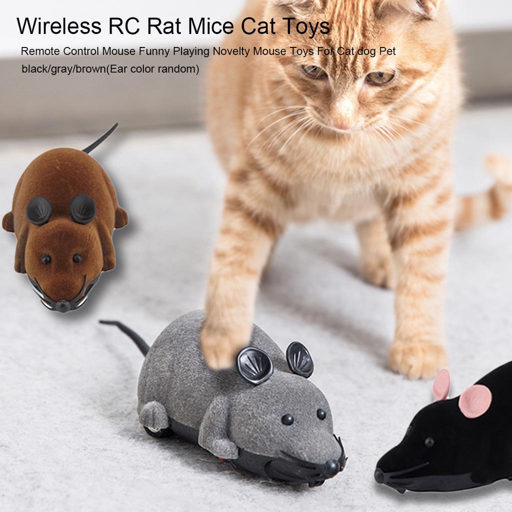 petsmart remote control mouse