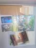 Kite Letter Various Bonus Set Nardam CGV Used