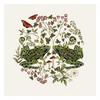 Tall Boy Prints Woodland Frog Print