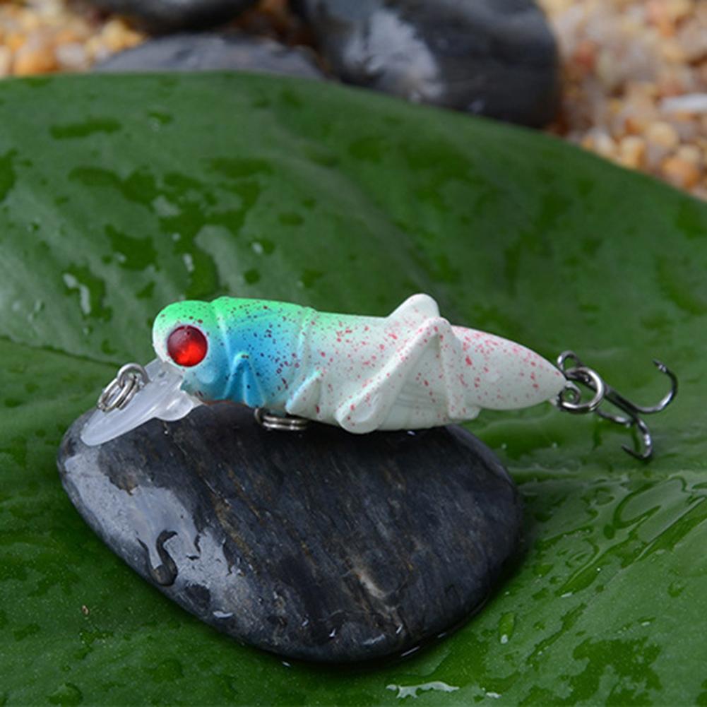Innovative Design of 5cm Insect Fishing Lures To Attract Fish Easily