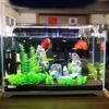 SenSen HWK-600P Ultra-Clear Glass Aquarium