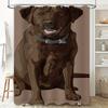 Stylish Bath Curtains featuring a beautiful dog illustration perfect for adding some personality to your bathroom decor.