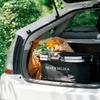 DEAN DELUCA Aluminum Handle Cooler Black & Bag,