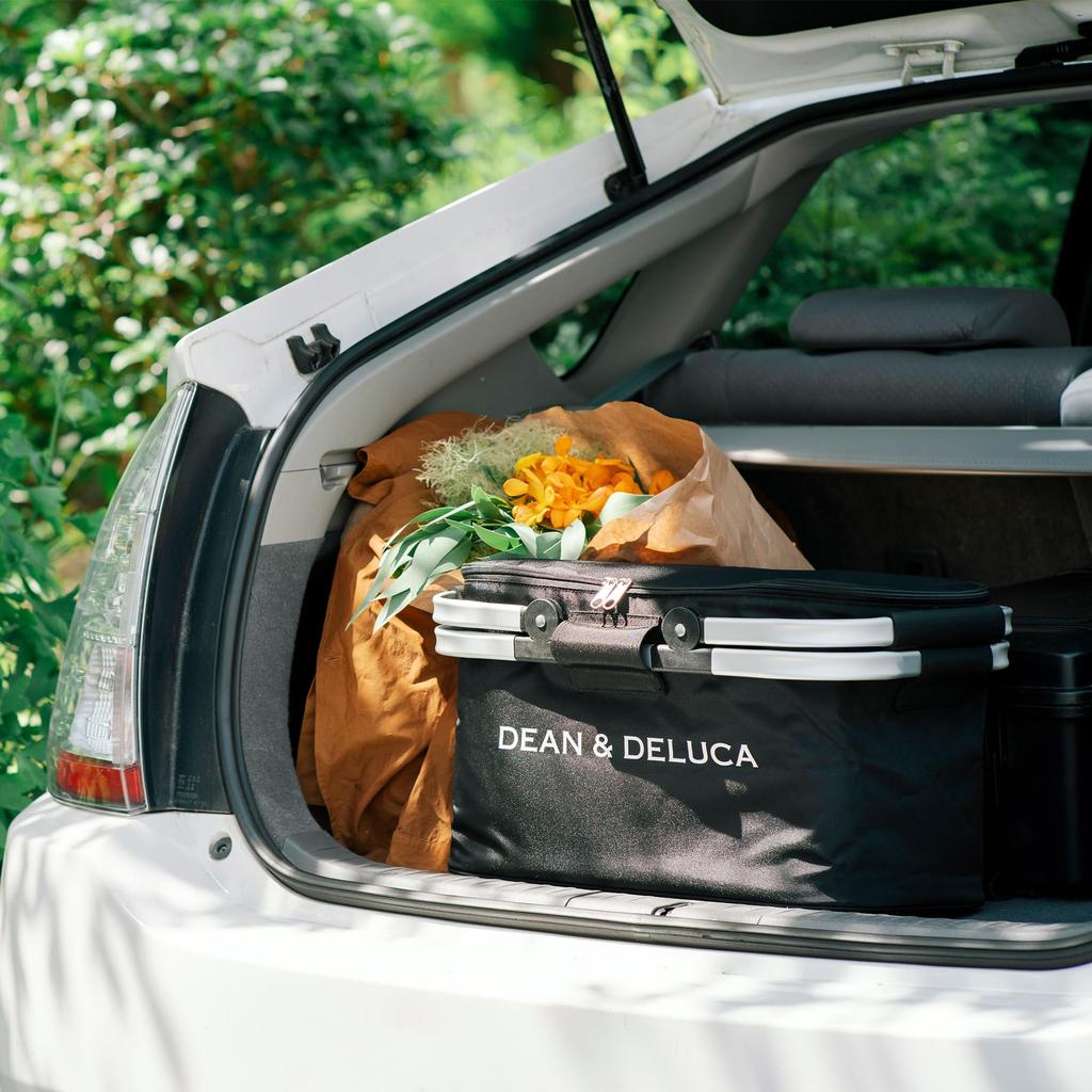 DEAN DELUCA Aluminum Handle Cooler Black & Bag,