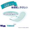 [Bulk Purchase] Hadaomoi Clean Plus Panty Liners, 14cm (62 Sheets x 2 Bags)