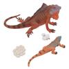 Iguana Life Cycle Model Set Growth Lifelike PVC Plastic Toy Early Education Animal Figures