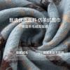 Autumn And Winter High-End Korean Plaid Scarf Casual Versatile Korean Women Versatile Shawl Women
