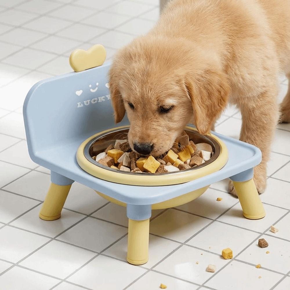 Hohe Hunde-Wasserschale Anti-Rutsch-Futter- und Wasserstation für Haustiere Erhöhter Futterspender für Haustiere Innenbereich