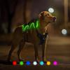 Light Up Dog Harness, 7 Color Changing LED Dog Harness, Rechargeable No Pull Dog Vest Harness, Adjustable Rainproof Pet Harness, Glowing Dog Vest
