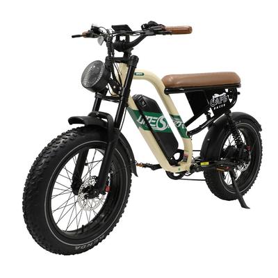 MAXTURN W66 Adult Electric Bike 500W Motor 48V 13.5AH Battery 20-Inch All-Terrain Tires Perfect for Off-Road and Urban Riding