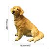 62KD Animal Plastic Golden Retrievers Home Ornament DIY Realistic Artificial Hand Paint Adult Collection Craft Backyard Toy