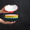 Di Rui En A5 Melamine Two-Tone Commercial Noodle Bowl