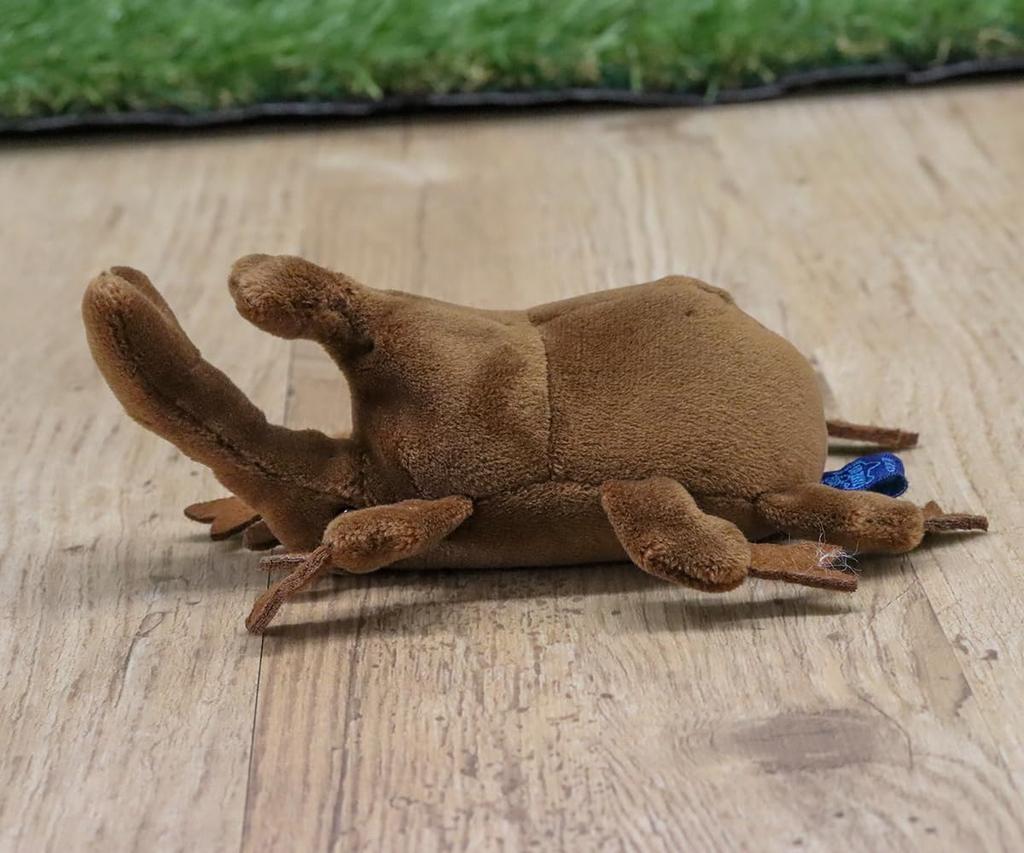 Take Off Pokepuni Beetle