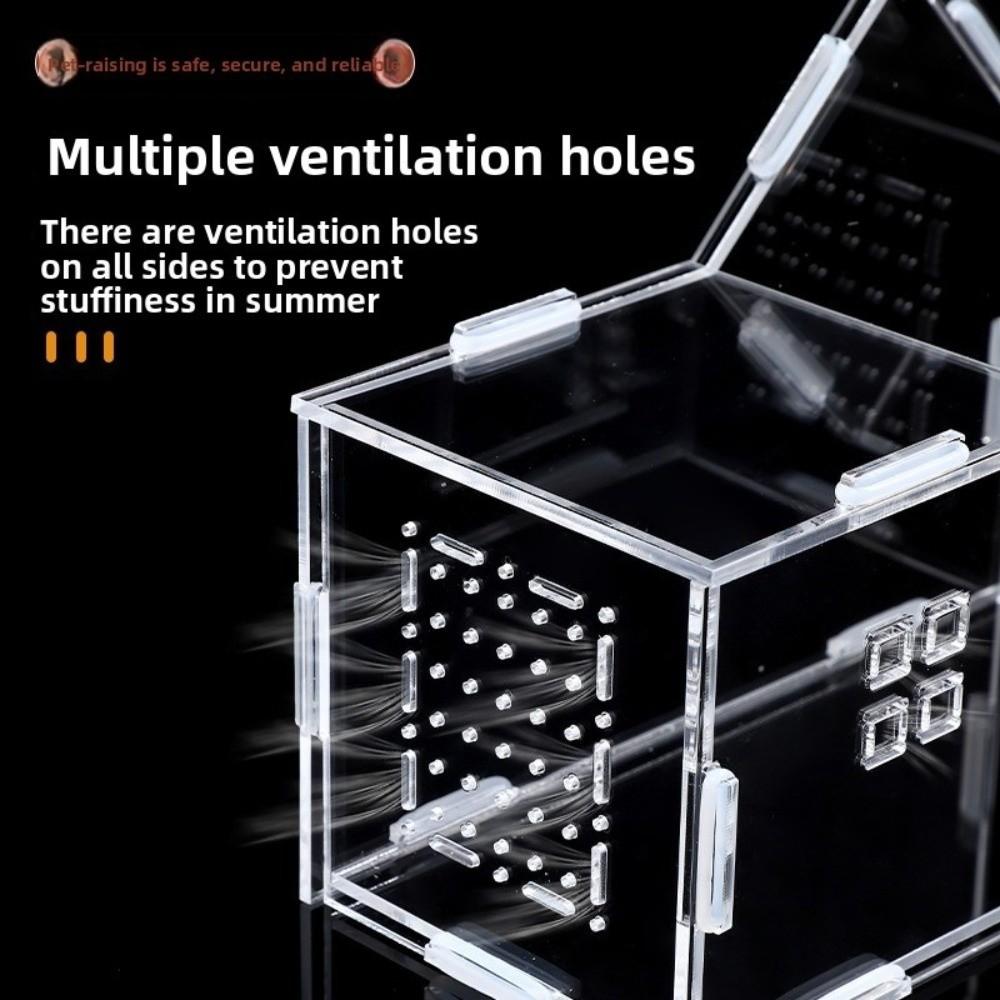 New Acrylic Reptile Habitat Clear Ventilated Lizard Breeding Box Arboreal Anti-Escape Reptile Terrarium Small Pet Supplies