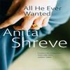 All He Ever Wanted by Anita Shreve Paperback Book 9780349115580