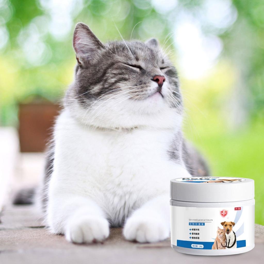 Ntensive Ointment, Ultimate Skin Relief For Dogs & Cats, Itchy Skin, Scratching, Dry & Irritated Skin, Cracked , Care & After-, Korean Pet Skincar