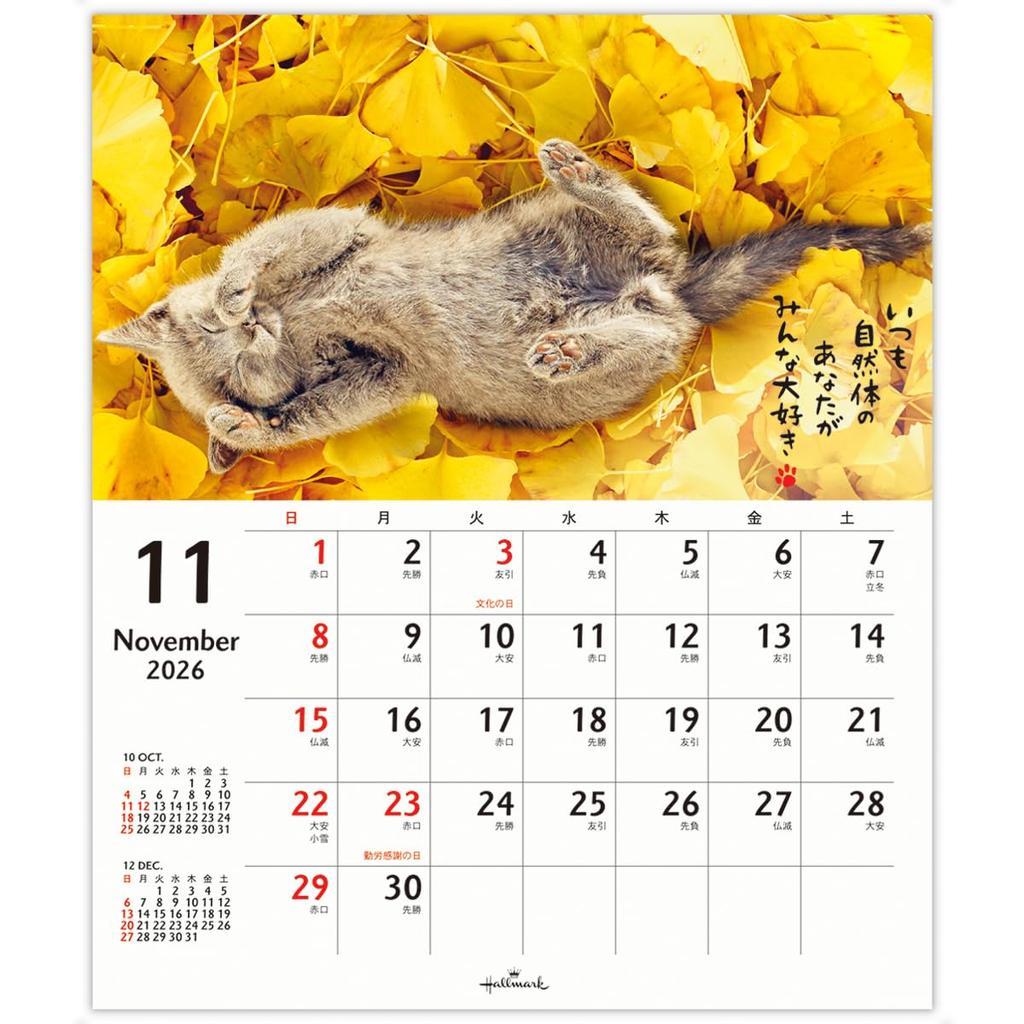 Hallmark 2026 Wall 845407 Calendar, Small, Homenyanko,