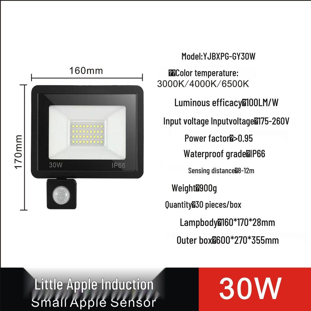 Remote-Control LED Floodlight with Human Body Induction, 110V Wide Voltage, for Outdoor Use in Europe and America