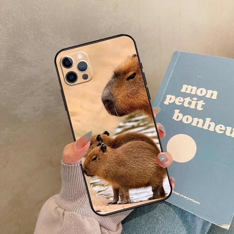 

Animal Funny Capybara Case For iPhone 17 Air 13 16 15 11 12 14 Pro Max 13 mini XR 15 16 Plus 16e Back Cover Shell iPhone 15