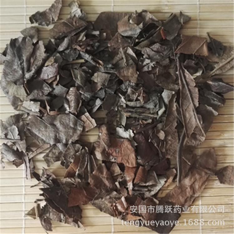Chinese Herbal Medicine Loquat Leaf - Bulk Purchase Available