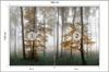 Photomural Forest In Fog Non-Woven 180x120