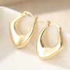 Simple  Silvery and Golden Plated Irregular Hoop Earrings Women Classic Versatile Daily Party Jewelry Accessories Crafts
