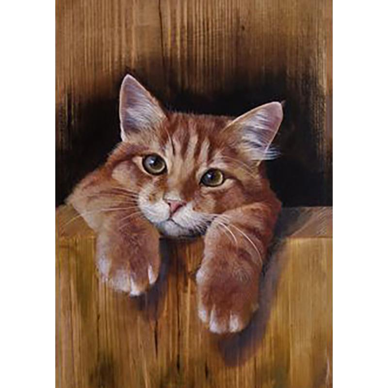 DIY Cat 5D Diamond Painting Full Round Drill Rhinestones Animals Diamond Embroidery Cross Stitch Mosaic Hobby Gift Home Decor