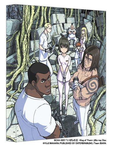 

Ibara no O -King of Thorn- [Blu-ray]