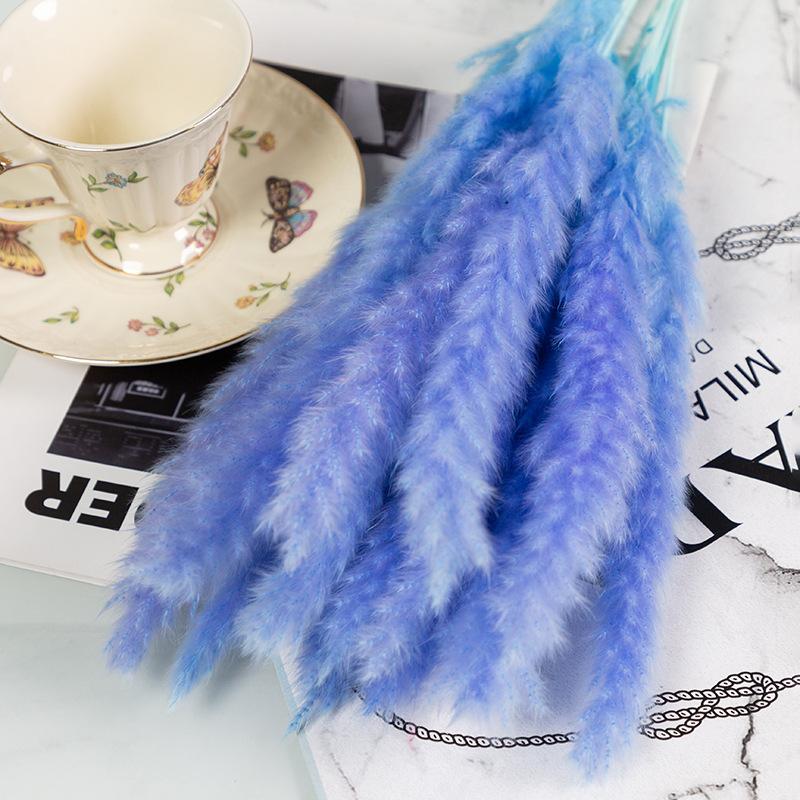 Small Reed Pampas Grass Dried Flower Special Offer Small Reed Dried Flower Bouquet Decoration Wedding Arrangement