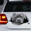 S60419# Gray Cane Corso Dog Sticker On The Car Vinyl Decal Waterproof Decoration Car Stickers