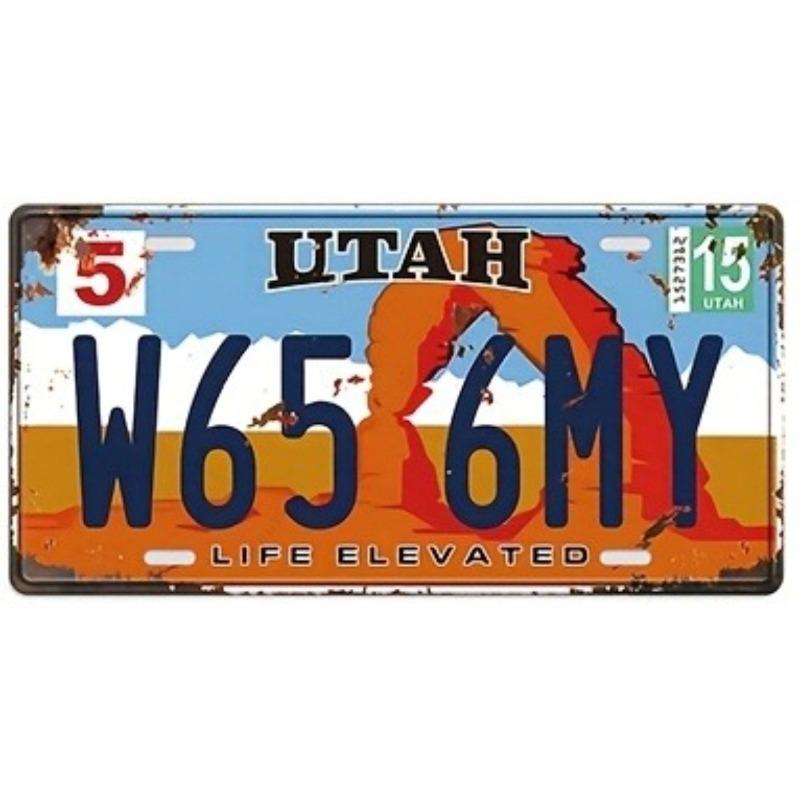 New York Souvenir License Plate, Metal Auto Decor 15x30cm