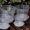 Breathable Flowerpot Transparent PP Blueberry Planter Pot for Phalaenopsis Hydroponics Hot Plants Self-Watering Aerating Plant Pot for Home Garden