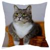 Office Living Room Home Pillowcase Cute Little Lazy Cat Pattern Pillowcase Car Ornaments