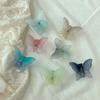 Tone-on-tone Gradient Butterfly Hair Clip Matte Hair Pin