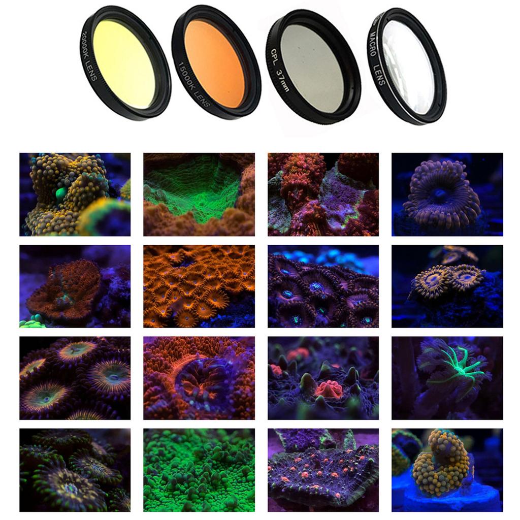 Aquarium Coral Lens Filter Kits Fish Tanks Marine Coral Reef Lens Phone Filters Lens Macro Lens Fish Aquatic Terrarium