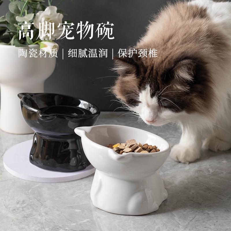 Cute Bowl for Food and - Small Pet Dish for and Cats