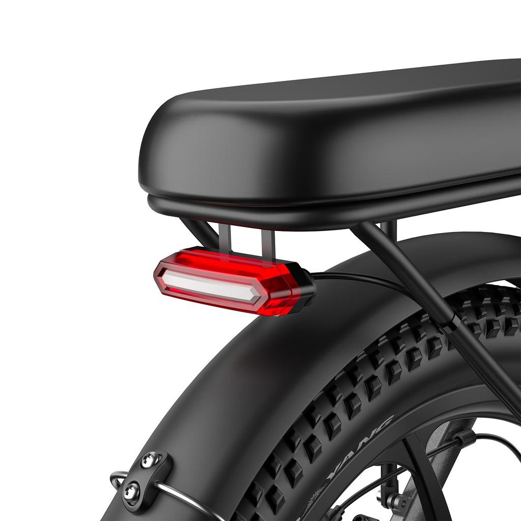 Electric Bicycle Foldable Fafrees F20 250W Motor City Electric Bike Top Speed 25Km/h LCD Display 48V 18AH 20" Fat Tire 7 Speed