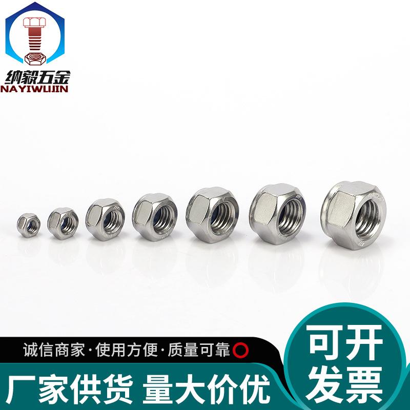 Stainless Steel 304 Nylon Hex Lock Nut