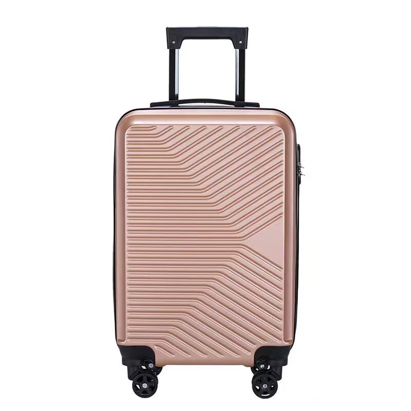 Li Shen 20-inch ABS Hardside Carry-On Luggage